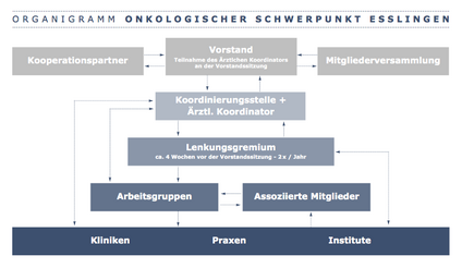 Organigramm